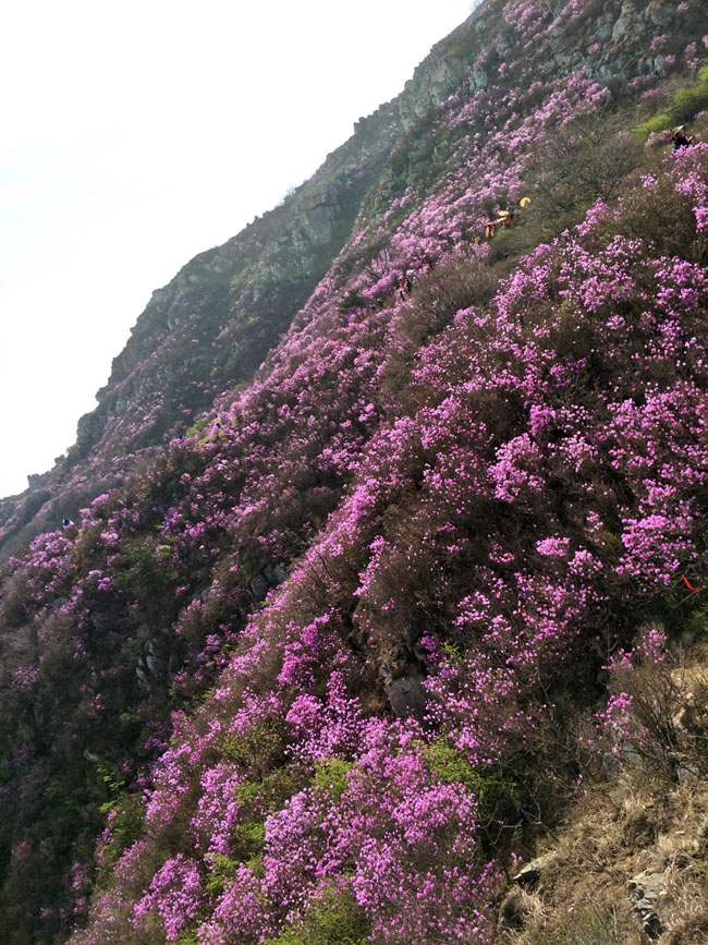 亚洲必赢·(中国区)唯一官方网站